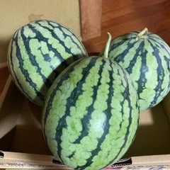⑤🍉訳ありスイカ🍉　約6.5キロの画像