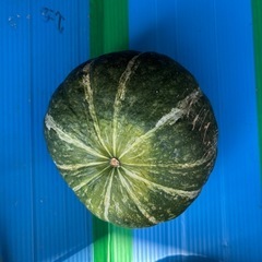 栗カボチャc級品の画像