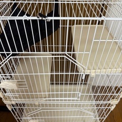 タンスのゲン 猫ゲージ 2段の画像