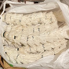 中古バドミントンシャトル　1つ5円の画像