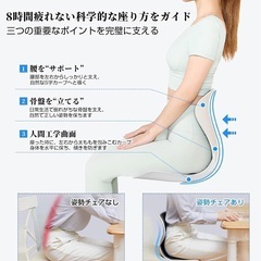 姿勢矯正 椅子 整体師 理学療法士推薦 バランスチェア 腰痛 骨盤サポートチェアの画像