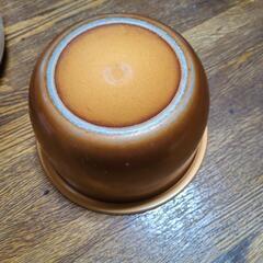 東芝 炊飯器の画像