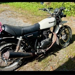 ⭐︎キャブ250TRの画像