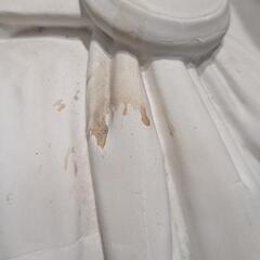 石膏像　ブルータス　胸像の画像