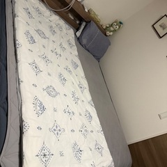 ニトリ Nクールハダ布団　ダブルの画像