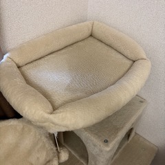 キャットタワーの画像