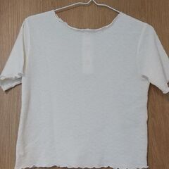 夏物 カットソー カーディガンの画像