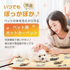 ペット用 ホットカーペット PSE認証ラグ 正方形 45×45 犬猫マットの画像