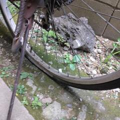 自転車の画像