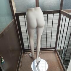 マネキ　トルソー　　下半身　ミセス用の画像