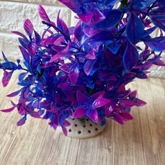 水槽　アクアリウム　 人工水草　 フェイク 水草の画像