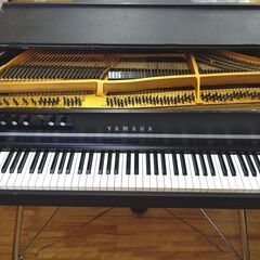 ヤマハ　CP-70B 【未整備/現状渡し】YAMAHA (和歌山市発)の画像