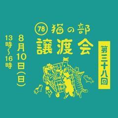 保護猫を家族に🐱猫雑貨店で譲渡会開催！