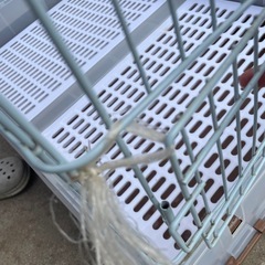 うさぎのゲージの画像