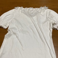 ランバンコレクション　半袖カットソー　サイズ38　の画像