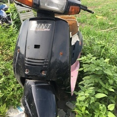 私ミント12歳 21500円 釣りなしの画像