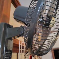 ★本日お取り引き★壁掛け扇風機の画像