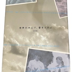 DVD世界の中心で愛を叫ぶの画像