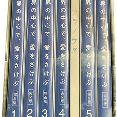 DVD世界の中心で愛を叫ぶの画像