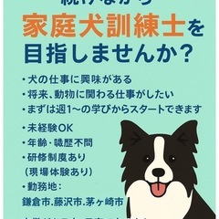 家庭犬訓練士を今の仕事をしながら勉強しませんか？