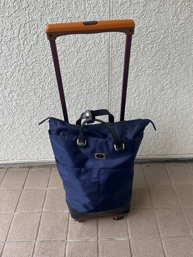 スワニー　キャリー　杖になる 座面無し