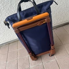 スワニー　キャリー　杖になる 座面無しの画像