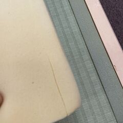 magniflex　サステナブルウイング（S）　No.165の画像