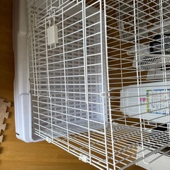 うさぎ用ゲージ
の画像