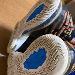 NIKE JAMES GANG ハイカットスニーカー　メンズサイズ27.5の画像