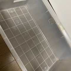 【交渉中】フタ式衣装ケース　カインズの画像