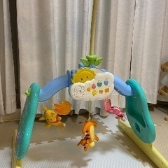 プーメリーの画像