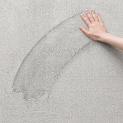 【ニトリ】ラグの画像