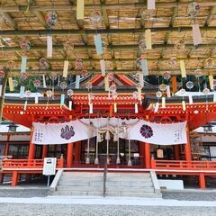 🌺女性のお友達募集🌺