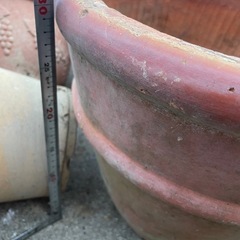 陶器植木鉢 胡蝶蘭　　大きな植木鉢の画像