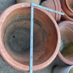 陶器植木鉢 胡蝶蘭　　大きな植木鉢の画像