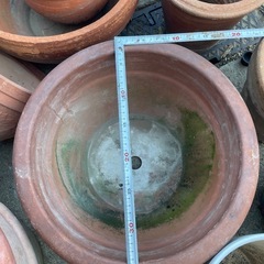 陶器植木鉢 胡蝶蘭　　大きな植木鉢の画像