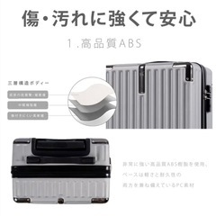 スーツケース　Lサイズ(93L) シルバーグレイの画像