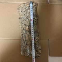 コルク素材の画像