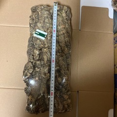 コルク素材の画像