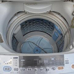 東芝全自動洗濯機7.5kg AW-T75DJの画像