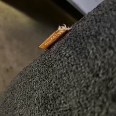¥5000/3人掛けソファ/06の画像