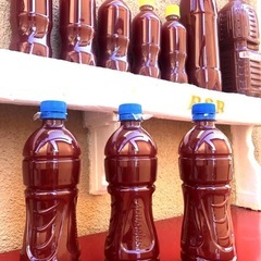 🅿️Ｓ🅱️熱帯魚金魚メダカ飼育に最強液体1500ml×【３本.高濃度】No1334🏮培養41年🏮レベル10濃度.培養🉑の画像