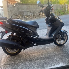 シグナス４型の画像