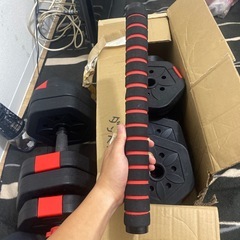 だんべるの画像