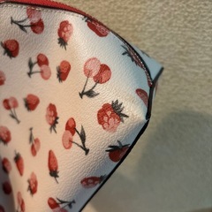 COACH  ポーチの画像