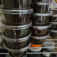 お取り引き予定のため中断　大盤振舞計22頭セット　ヘラクレスオオカブト初令〜3令初期幼虫の画像