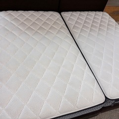🛏️ Sealy セミダブルベッドセット×2台  合計幅240cm｜ファミリー・来客用に最適 🚚【配達対応可】 の画像