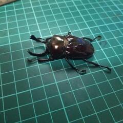 ②ニジイロクワガタピカールの画像
