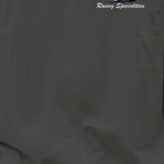 バイク　Tシャツ　Lサイズの画像