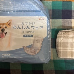 DCM　あんしんおでかけウェア　男の子用　中型犬用　Lサイズの画像